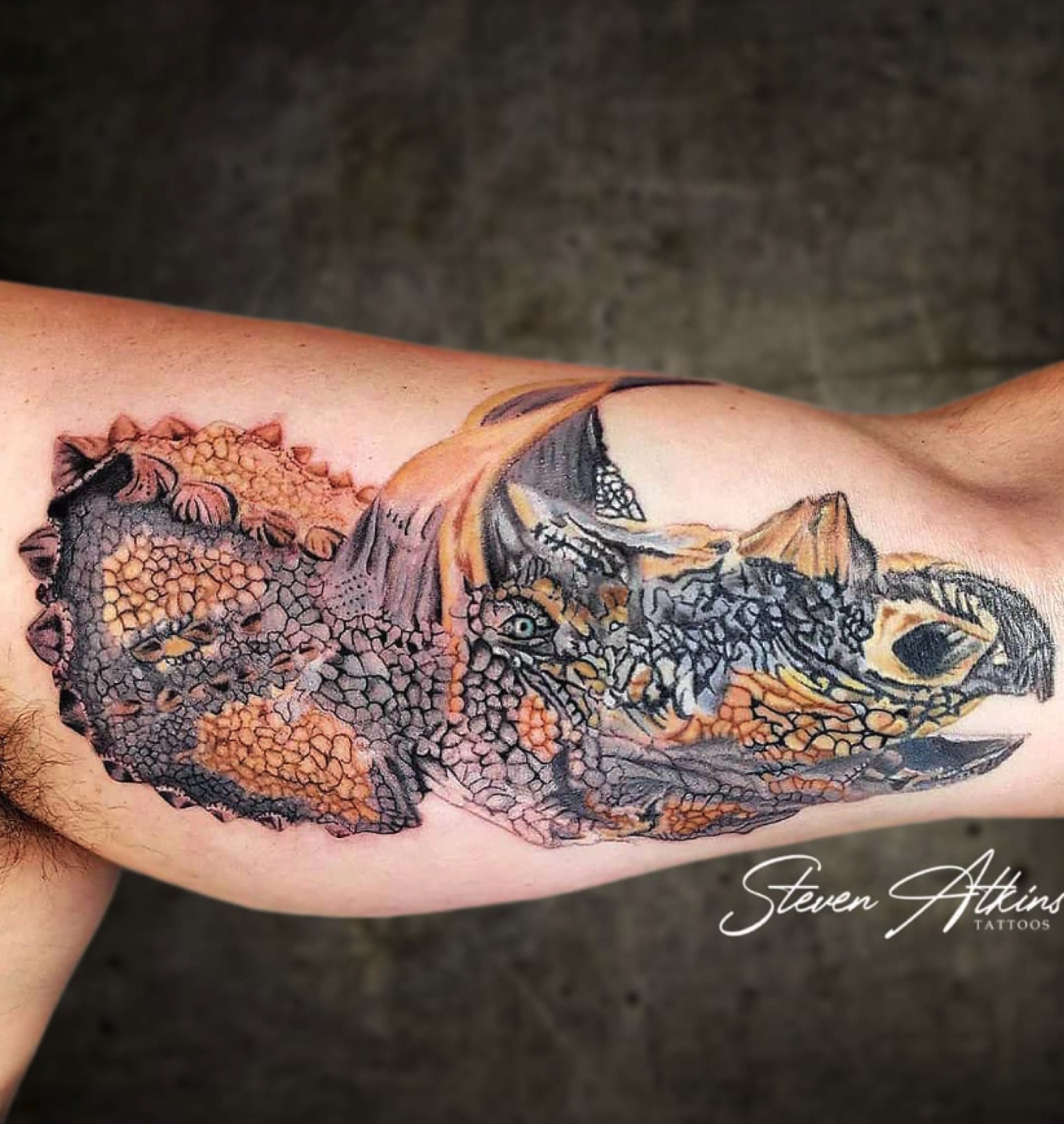 Color realism reptile tattoo